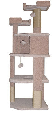 Cat Gym